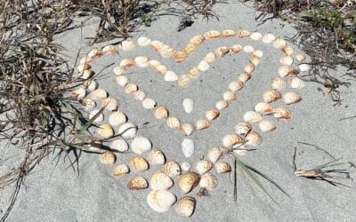 Seashell heart
