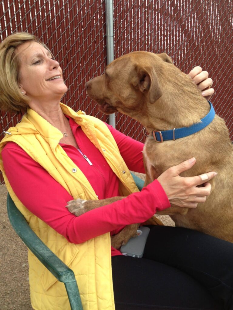 Bella meets Debi at the Colorado shelter in 