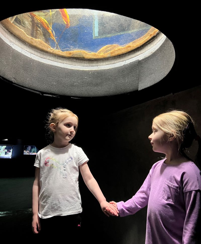 Two four-year-old girls at OdySea Aquarium in Phoneix