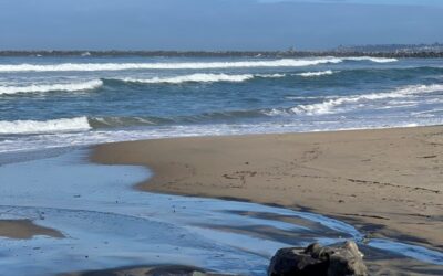 Photo of the Pacific Ocean waves and beach.