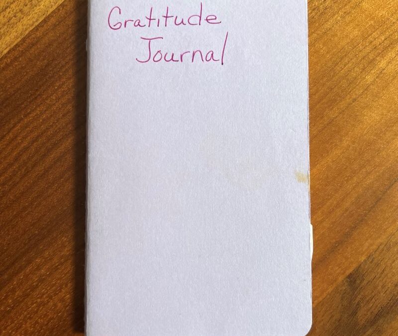 A Look Back: An Exercise in Gratitude