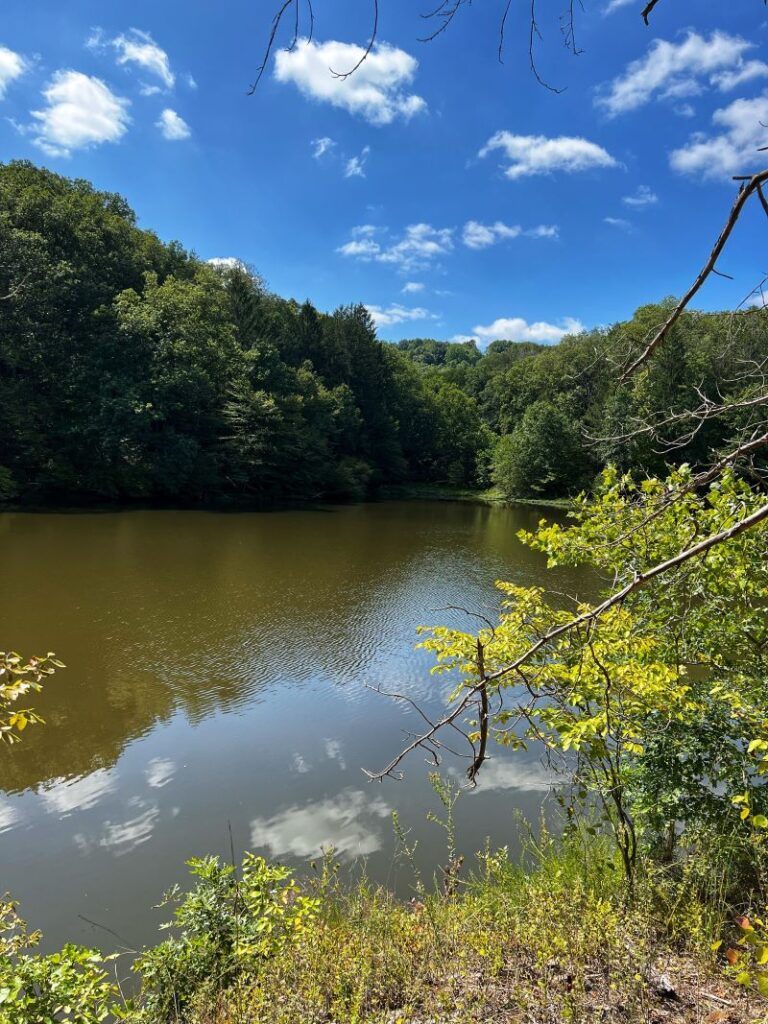 Lake scene, Brown County State Park.