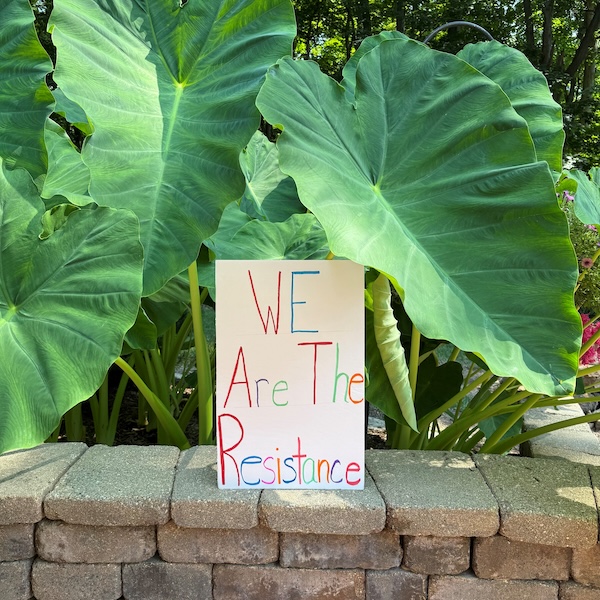 We are the resistance note sitting in between a few big leaves