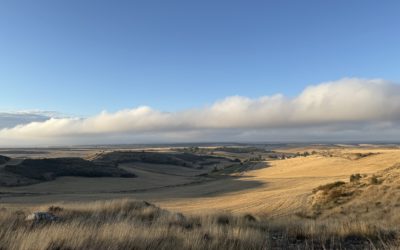 An open field on The Camino de Santiago Frances, Cardenuela, Riopico