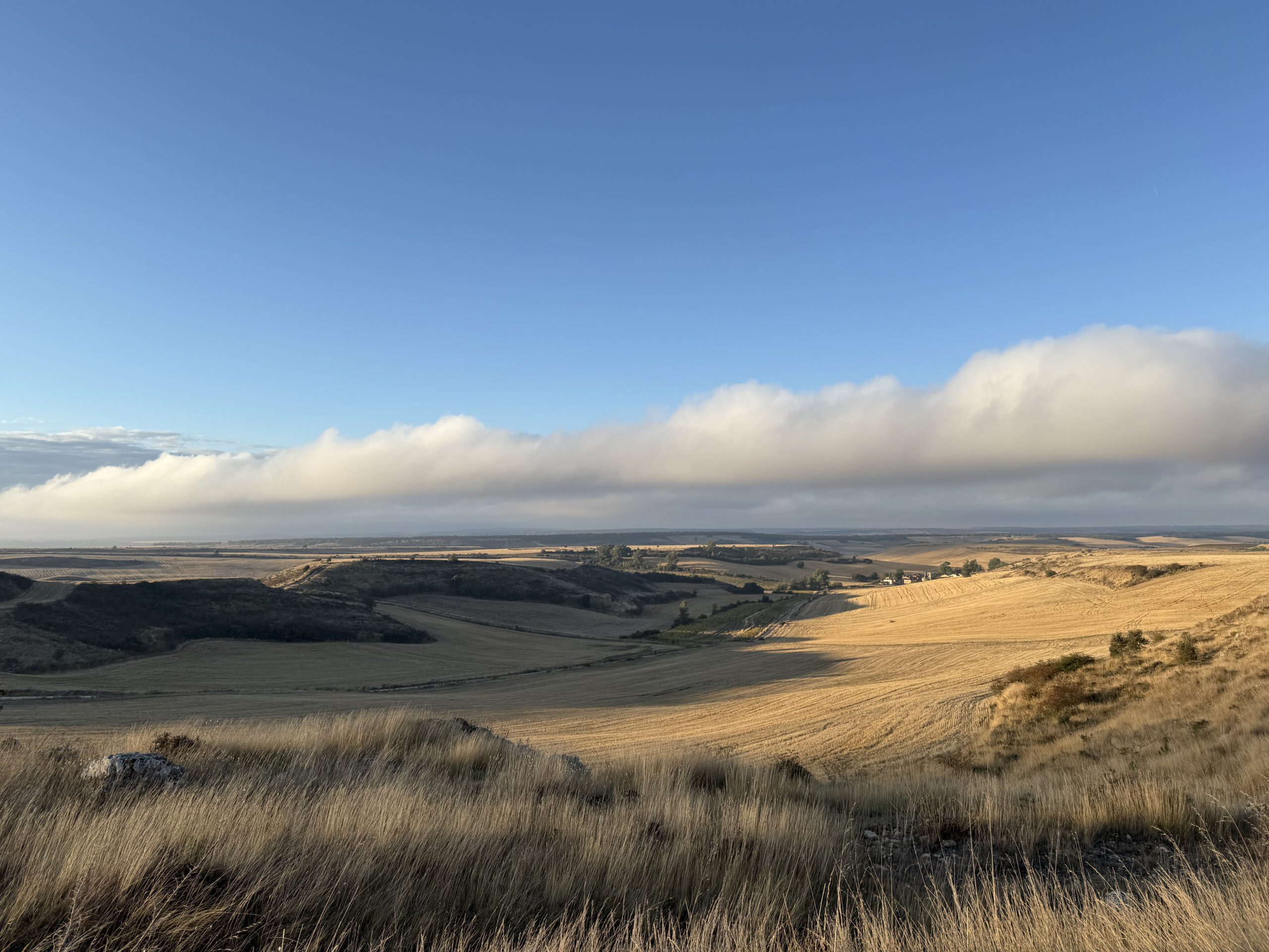 An open field on The Camino de Santiago Frances, Cardenuela, Riopico